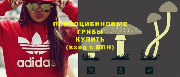 дмт Баксан