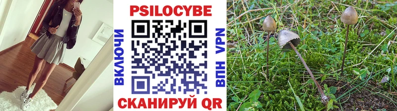 купить наркотики сайты  MEGA сайт  Галлюциногенные грибы Psilocybe  Сегежа 